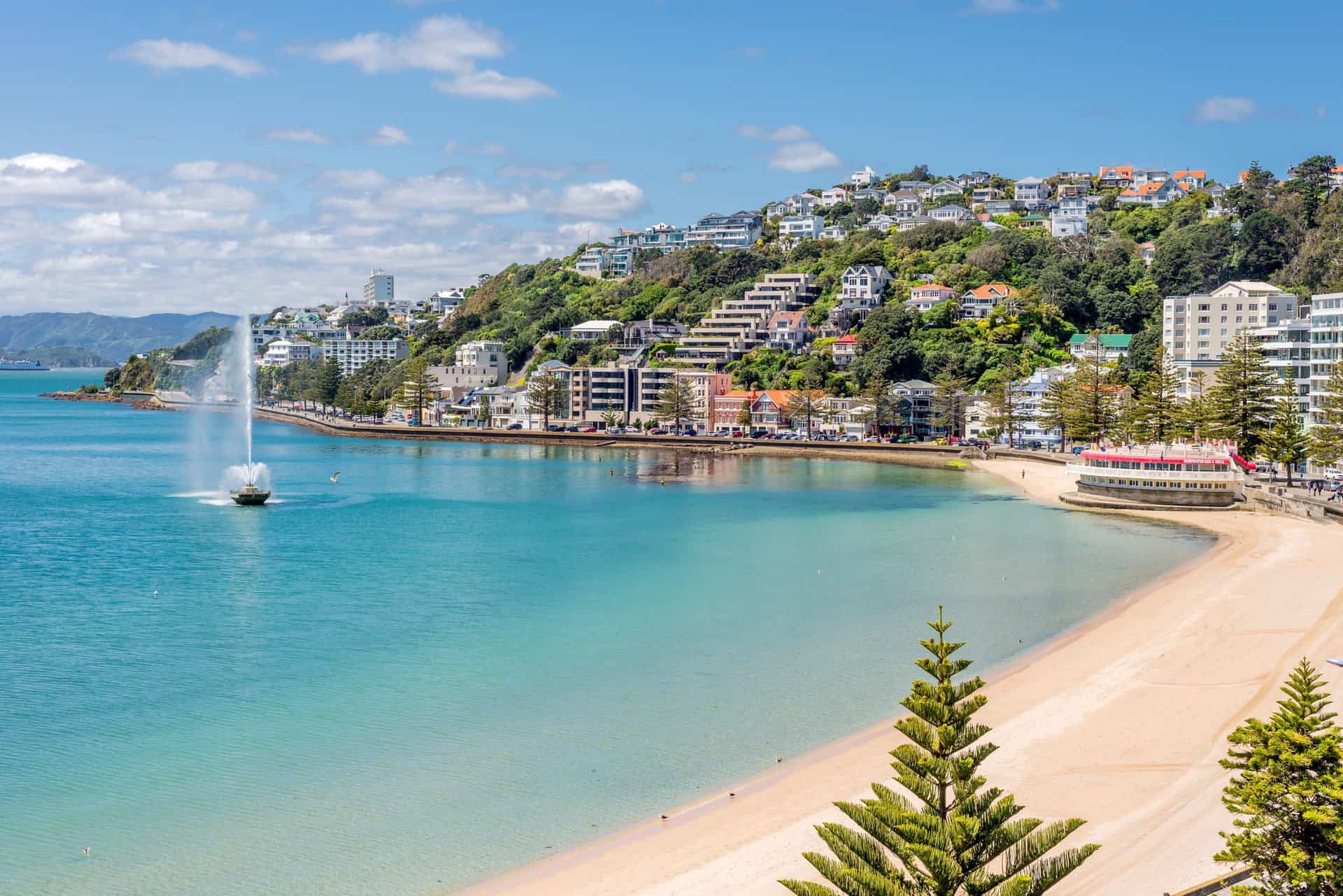 Wellington's Oriental Bay on a clear spring day
